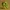 Caterpie Pokemon Chibi