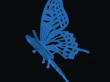 butterfly-0