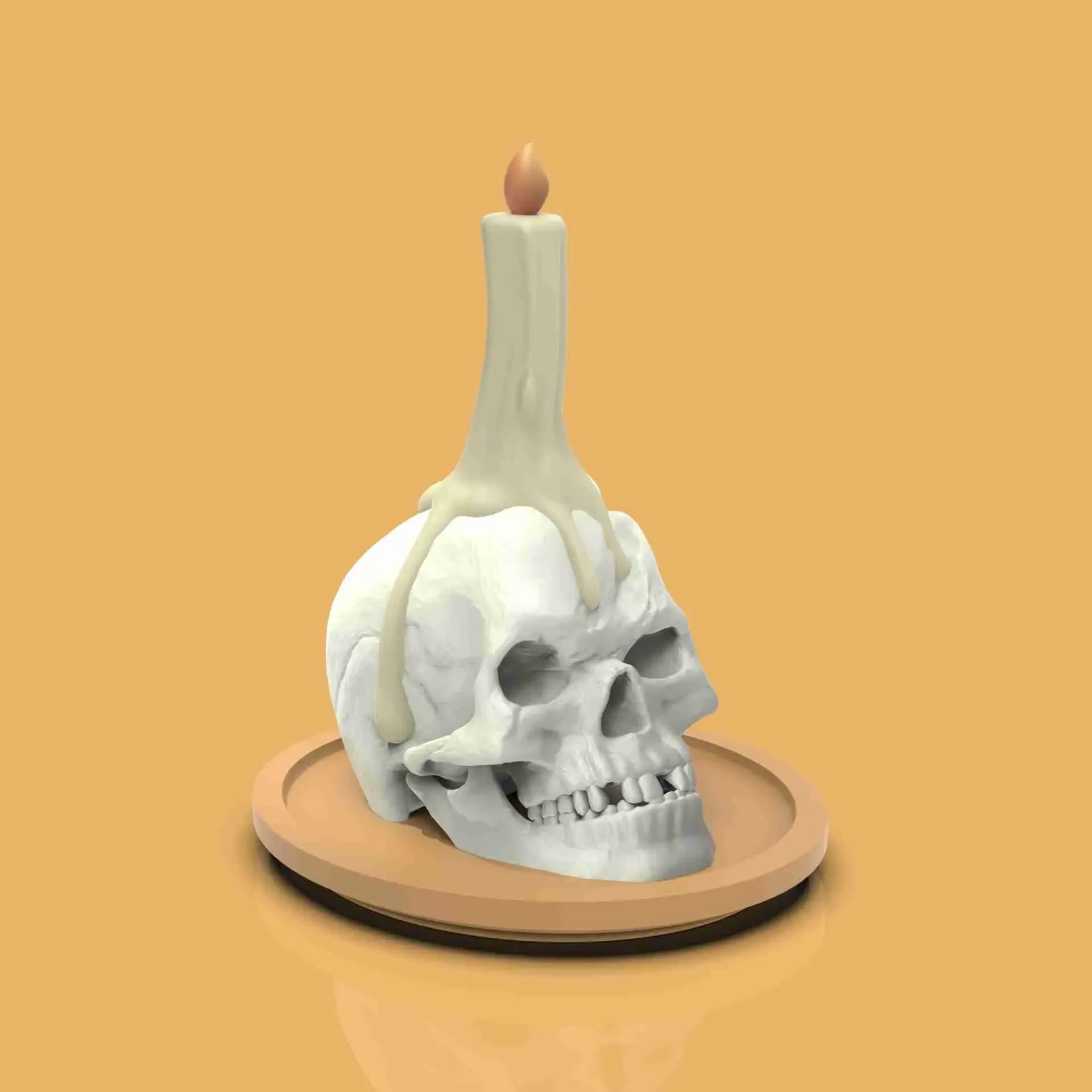 Skull with Candle