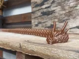 Dragon flex Long-0