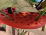 flower stem holder v1-0