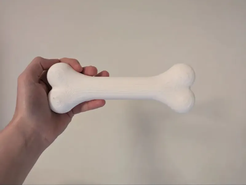 Bone (Xermic)