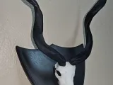 Skull Mount Shield-2