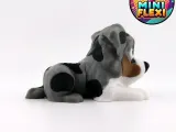 Mini Flexi Australian Shepherd - No Support-7