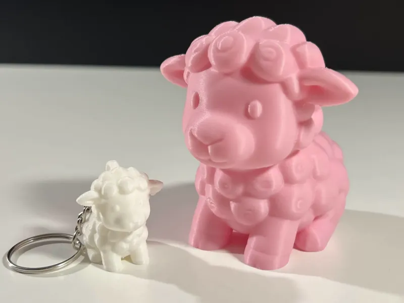 Cute Sheep