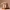 3361 Totem-Style Anteater – Full-Body 3D Model  animal  STL