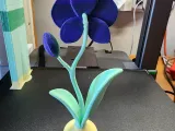orchid 3 colors-1