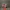 VALENTINES DAY GIFT - CUSTOM NAME - DATE - LOVELY SURPRISE