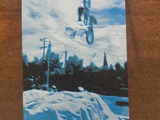 HueForge: Backflip on a Bike