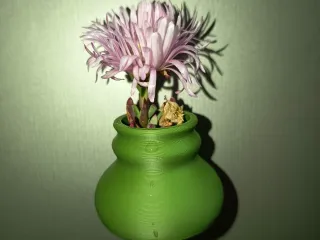 🌸 Fridge Bloom Pots