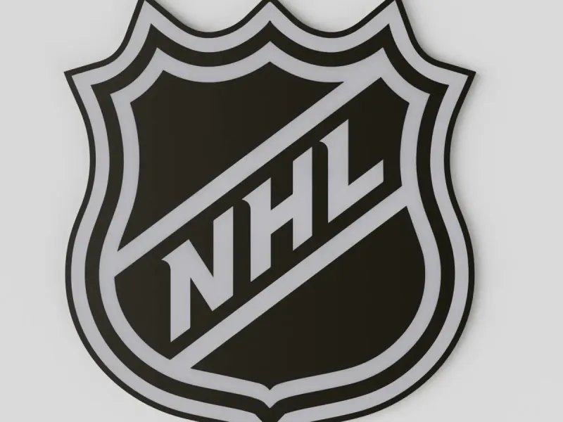 National Hockey League coaster