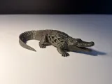 Crocodile-4