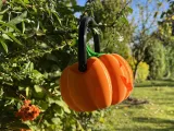 Dual Face Pumpkin-3