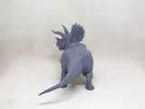 triceratops_v01-7