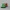 PlayStation Button Symbols – Desk Display
