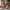 Cute Gnome Kit - Christmas Decoration