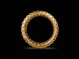 scales wing ring-3