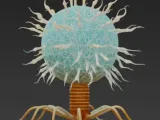 Detailed Bacteriophage Virus Model | Biyoloji & Bilim-0