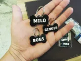 Pet Name Tag (45 names)-3