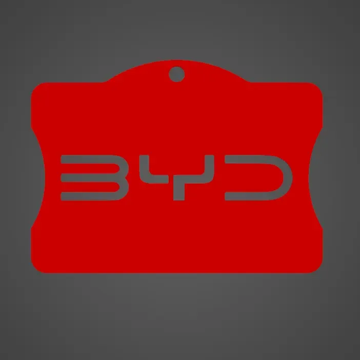 BYD ID Holder