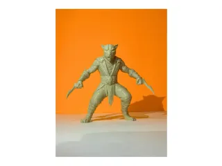 panther warrior