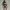 Action Figure Lutadora WWE Sexy Malhada Gostosa Sensual