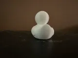 Rubber Ducky-3