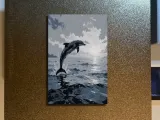 Dolphin Hueforge-0