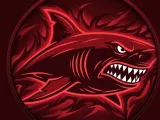 red shark-0