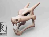 CHARIZARD SKULL 3D PRINTING MODEL-3