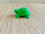 Cute Turtle-0
