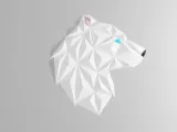 Geometric Bear head - wall design-1