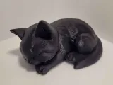 Chat endormi-2