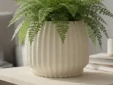 Parametric Twisted Planter-0
