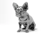 Chihuahua-6