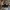 ATAK Mount for S23 Ultra Molle Phone Mount