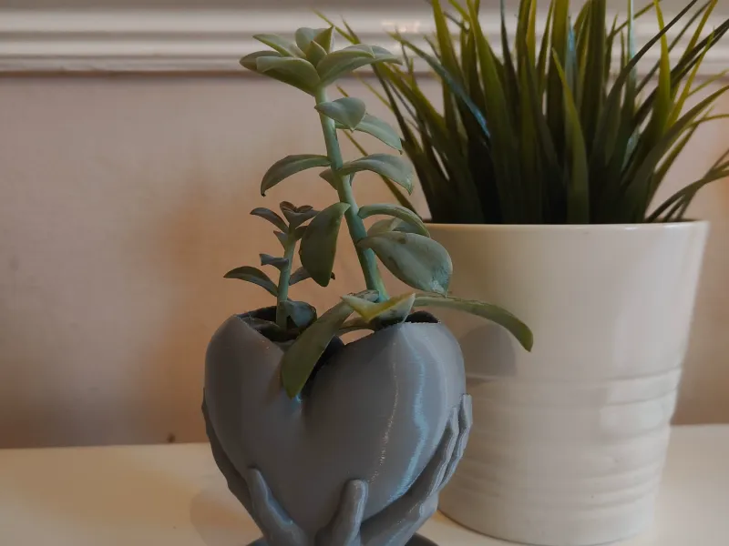 Mains tenant un pot de fleurs en forme de coeur avec drainage