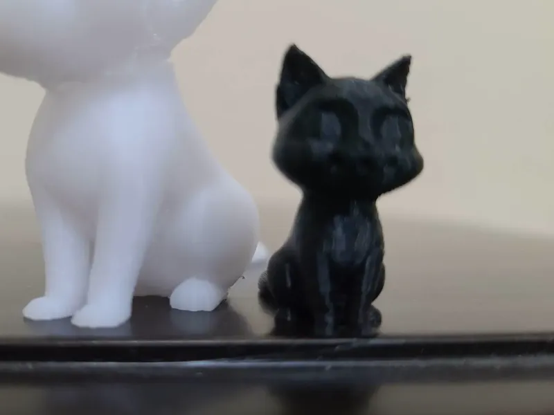Cute Kitten #1