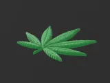 Pot leaf-1