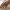 Facet Mesh Geo Ring – Noah0x03