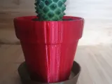 FLOWER POT-1