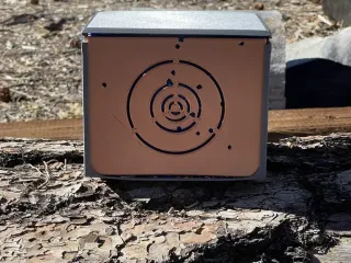 BB Capture Target