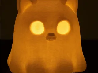 Cute BOO Cat