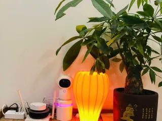 Craft Table Chill Lamp