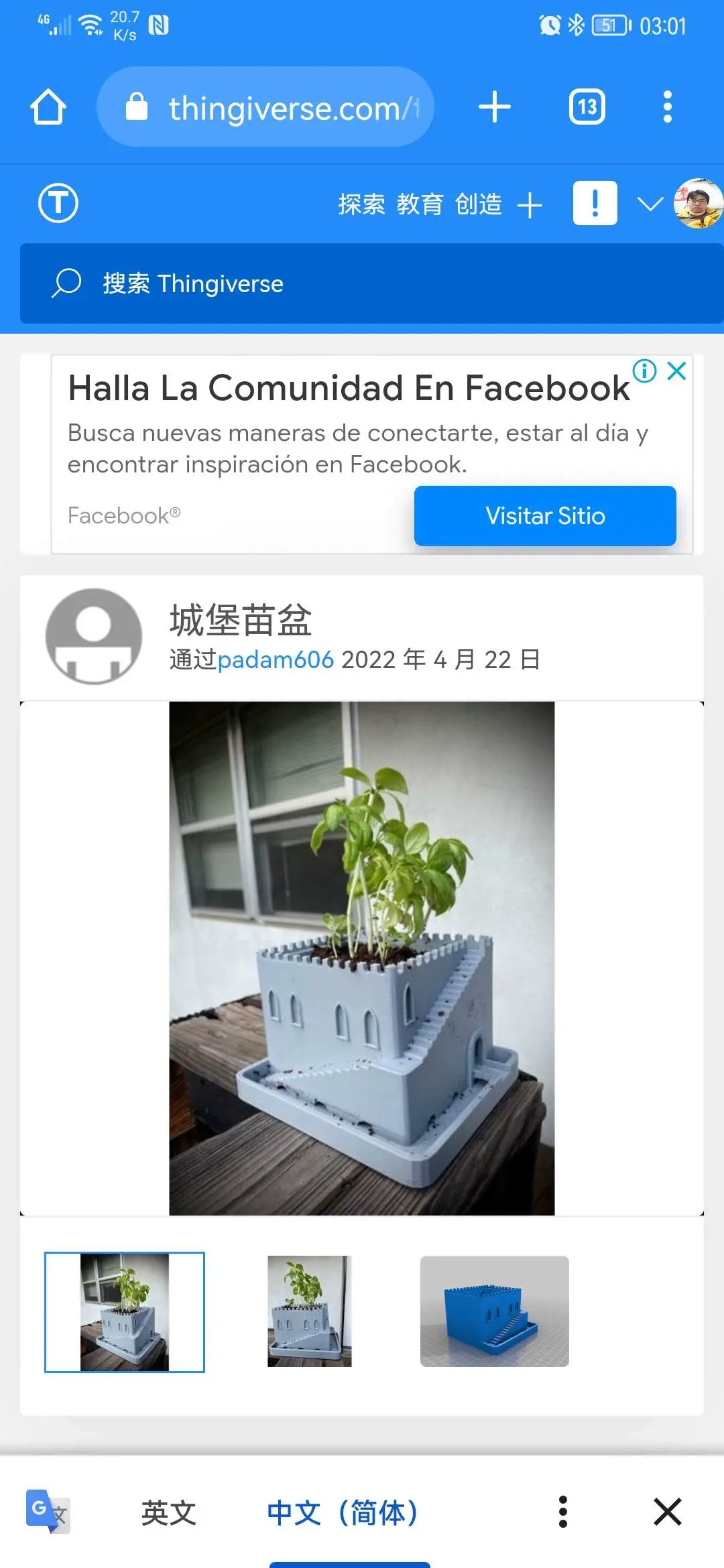 城堡花盆