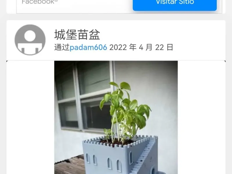 城堡花盆