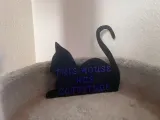 Cattitude!-2