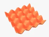 Egg Tray-4