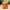 Angry Knitted Teddy Bear