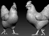 Chicken steps decor urban vibes-3